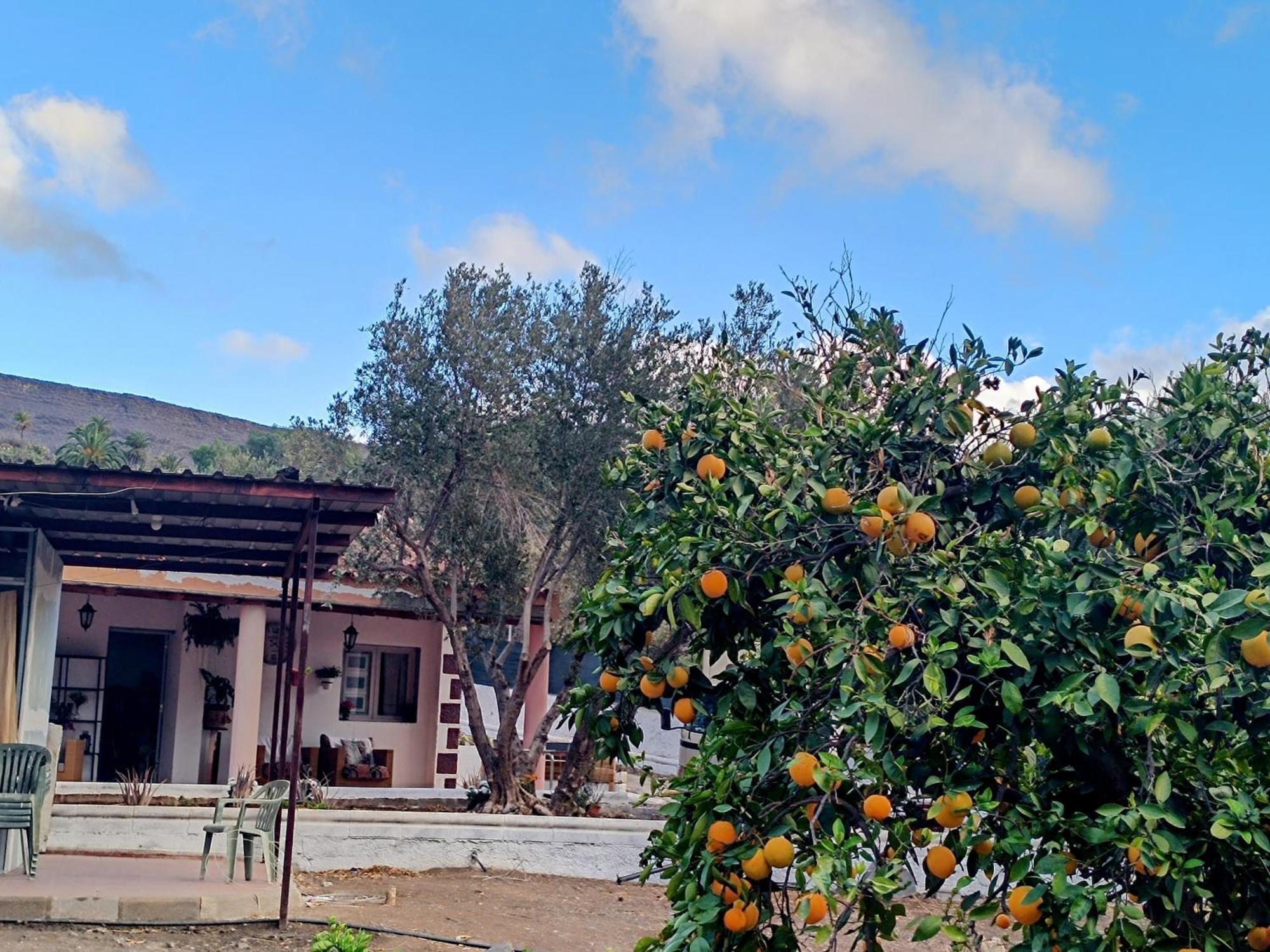 Bed and Breakfast La Casa De La Pradera Santa Lucía Exterior foto